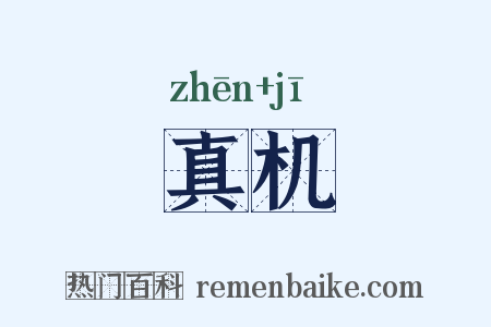 真机是什么意思的图片